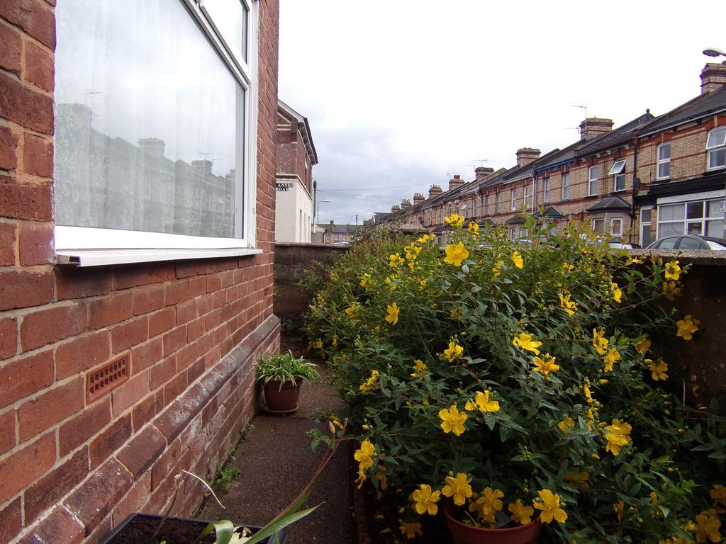 St Anne'S Road Guest House Exeter Exterior photo